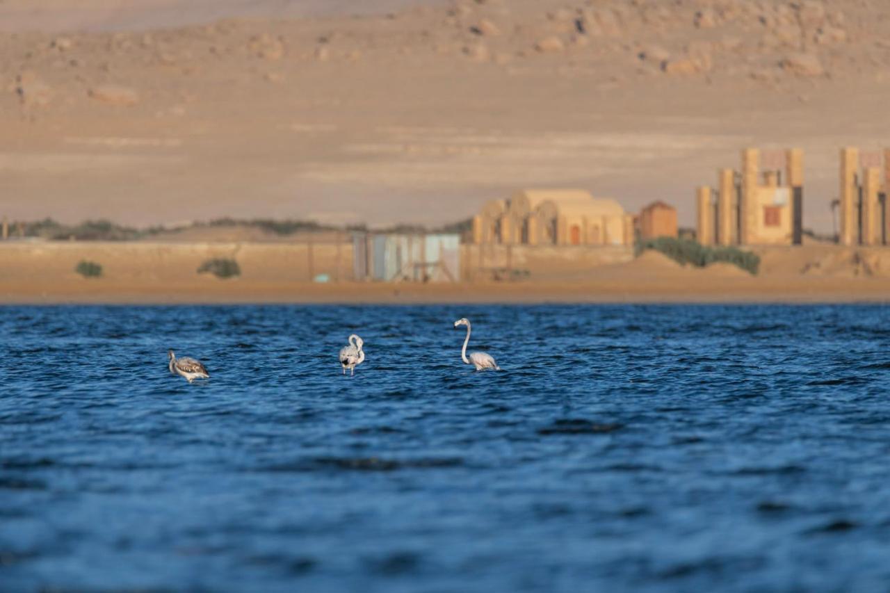 Northern Lake Lodge Izbat Ilyas Buitenkant foto