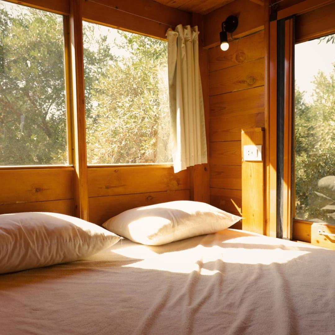 Northern Lake Lodge Izbat Ilyas Buitenkant foto