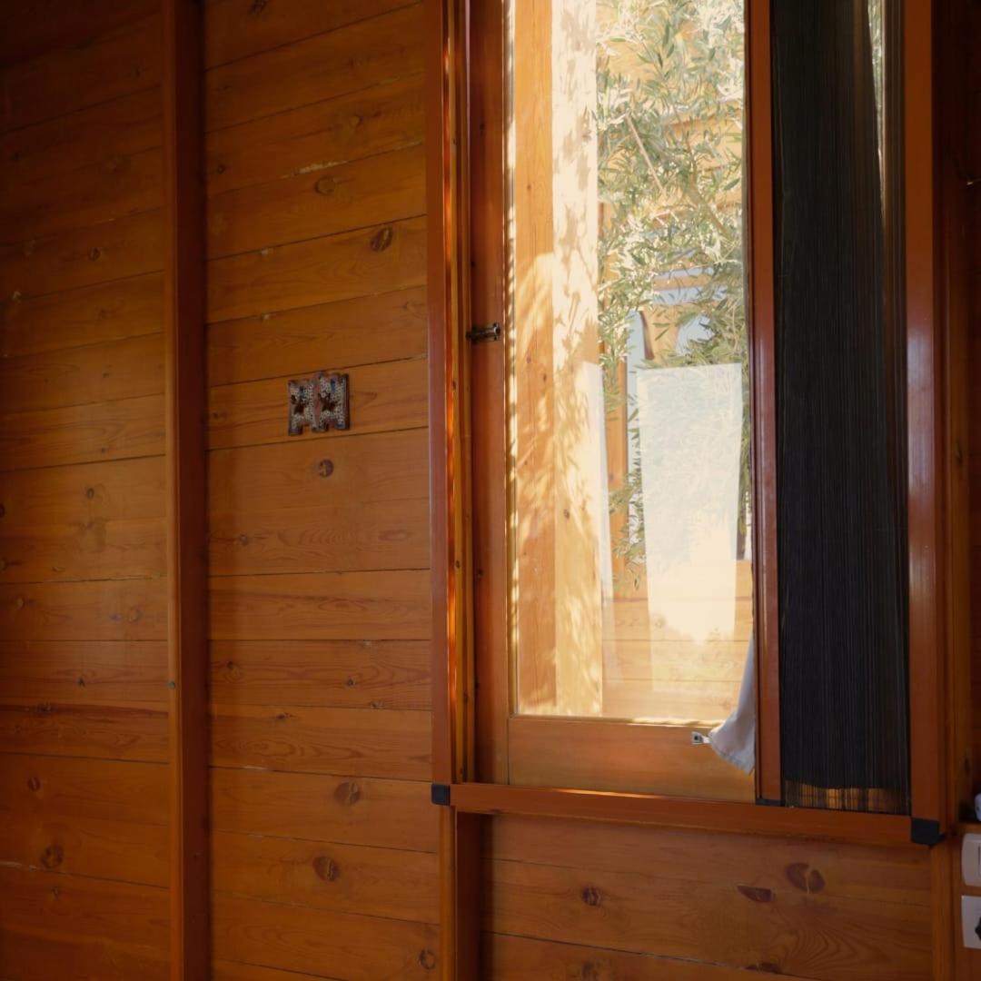 Northern Lake Lodge Izbat Ilyas Buitenkant foto